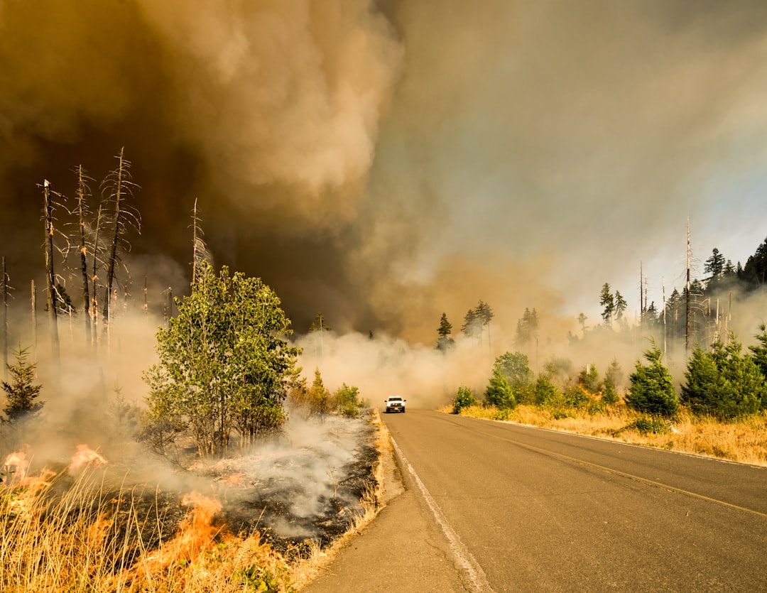Photo Natural disaster